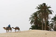 Явление Эль-Ниньо перейдет в нейтральную фазу